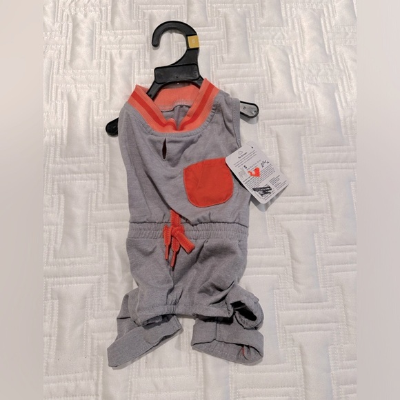 Dog Leash, Collar and 2 Outfits - Picture 3 of 6